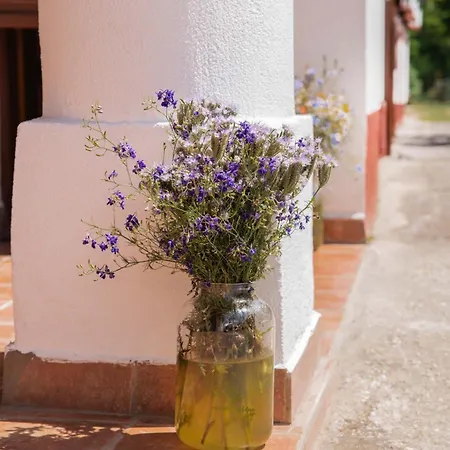 Casa de Férias Authentic With Large Garden